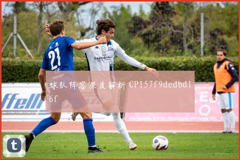 球队阵容深度解析 CP157f9dedbd16f
